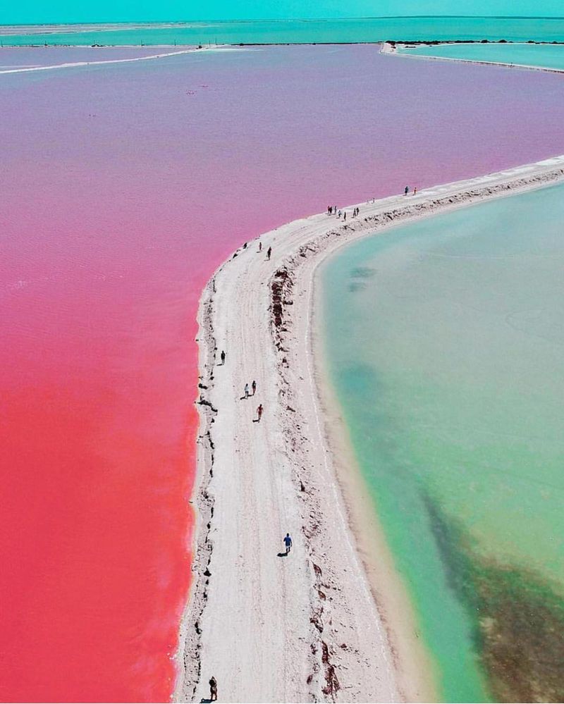 Las Coloradas · Valladolid